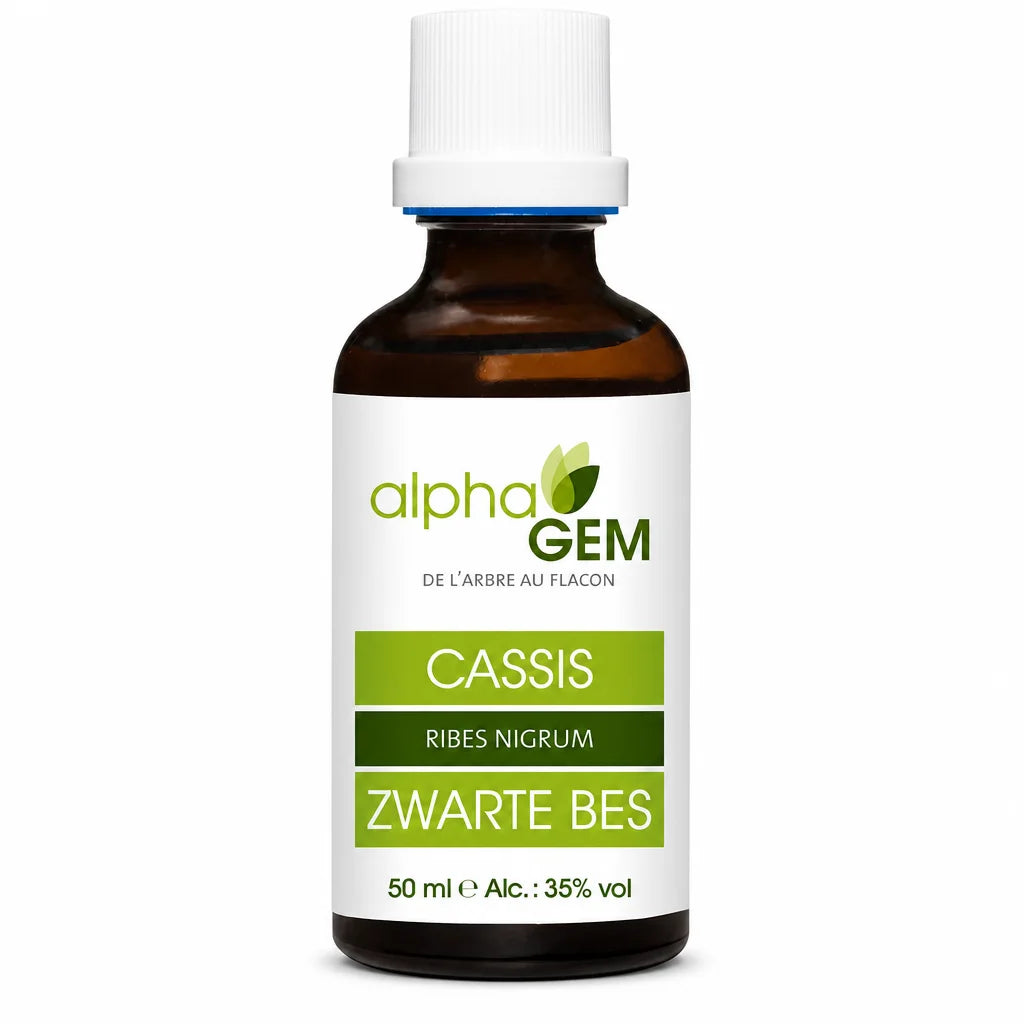 Bourgeons Cassis Bio Alphagem en flacon verre ambré avec étiquette verte