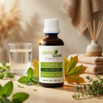 Bourgeons Erable champêtre Bio Alphagem sur table bois avec feuilles d'érable frais et verre d'eau