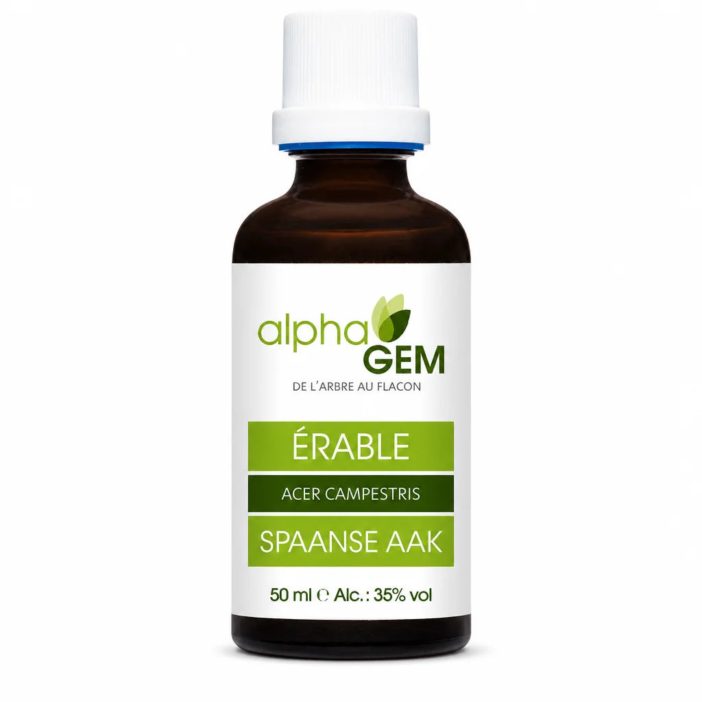 Bourgeons Erable champêtre Bio Alphagem flacon 50ml gemothérapie
