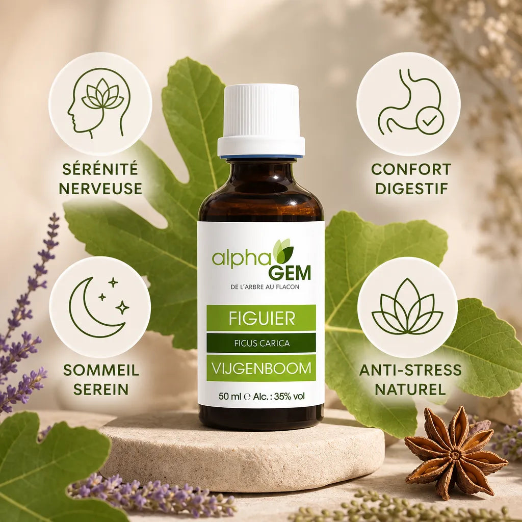 Bourgeons Figuier Bio Alphagem - Sérénité, confort digestif et sommeil naturel