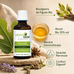 Bourgeons Figuier Bio Alphagem macérat gemmothérapie pour sérénité nerveuse et confort digestif