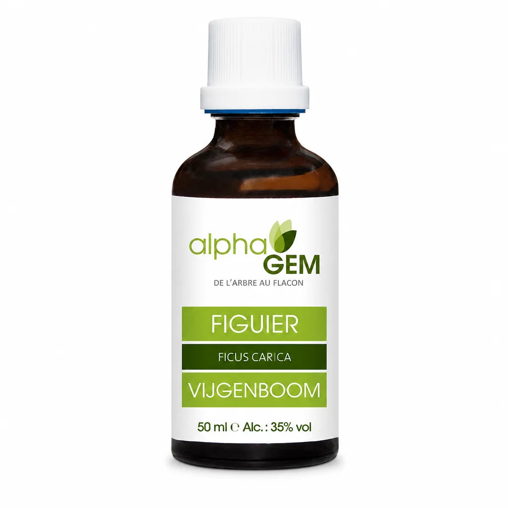 Bourgeons Figuier Bio Alphagem - Flacon macérat en verre brun avec étiquette verte
