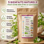 Brahmi Bio poudre Ayurvana avec infographie des bénéfices mémoire, stress et cheveux fortifiés