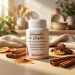 Cannelle de Ceylan bio en gélules Vital Osmose avec bâtons de cannelle frais et ingrédients naturels