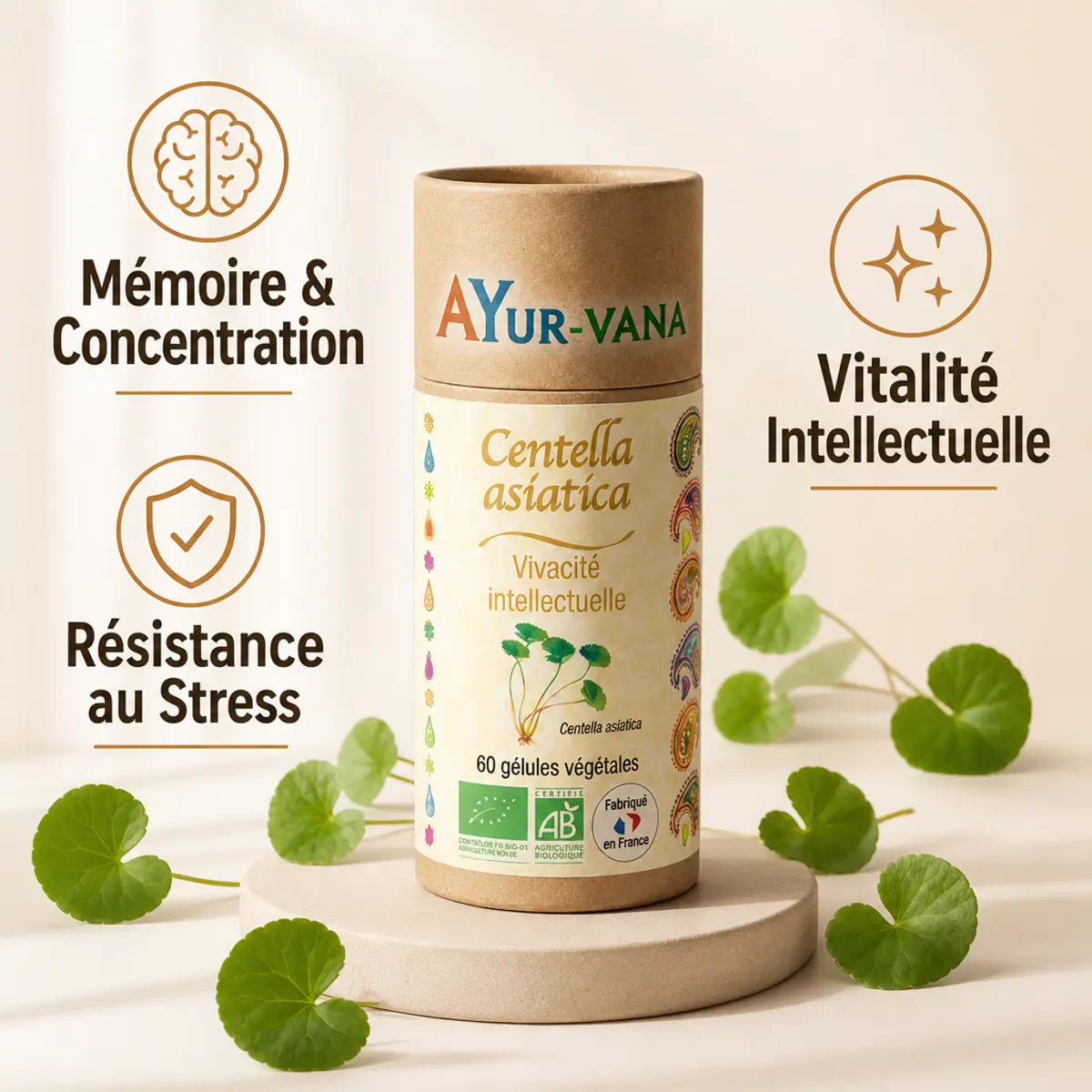 Centella Asiatica Bio 60 gélules Ayur-Vana - Mémoire, concentration et vitalité intellectuelle