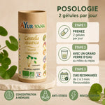 Centella Asiatica Bio 60 gélules Ayur-Vana avec posologie et bienfaits mémoire anti-stress