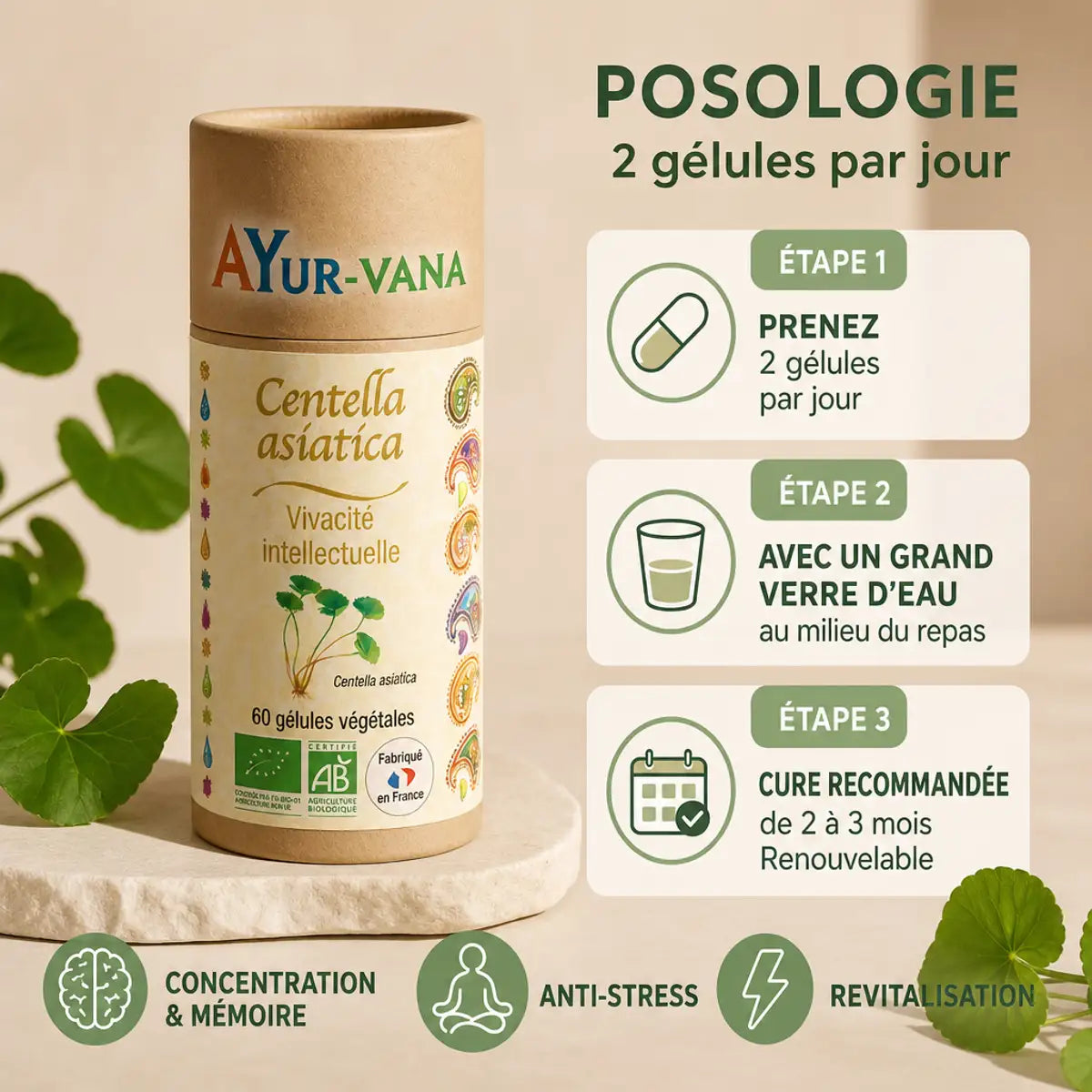 Centella Asiatica Bio 60 gélules Ayur-Vana avec posologie et bienfaits mémoire anti-stress