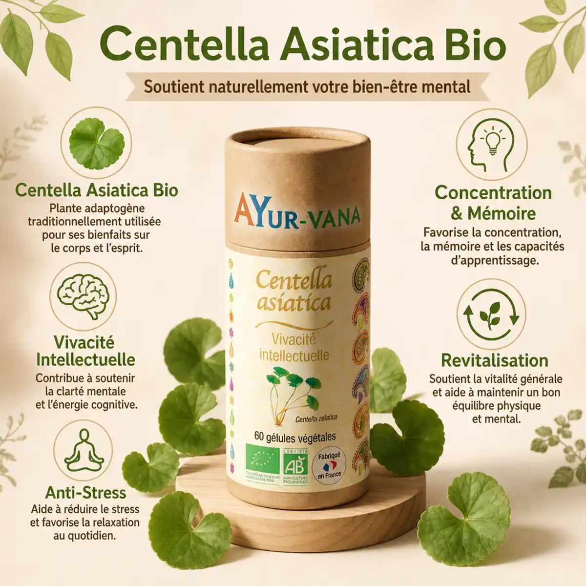 Centella Asiatica Bio 60 gélules Ayur-Vana avec bénéfices concentration mémoire anti-stress