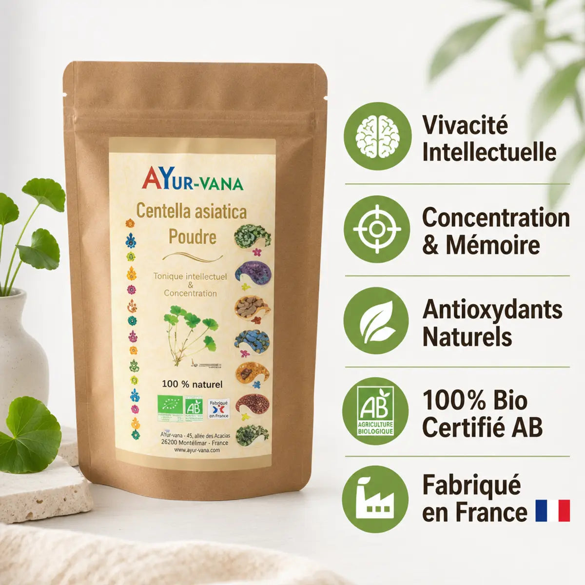 Centella asiatica bio poudre 150g AYur-vana avec bénéfices: concentration, mémoire, antioxydants naturels