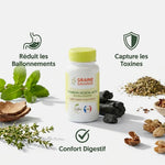 Charbon végétal actif vegan en gélules avec bénéfices digestifs et détoxifiants illustrés