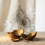 Charbon végétal activé Nature en poudre fine avec fragments de coque de noix de coco