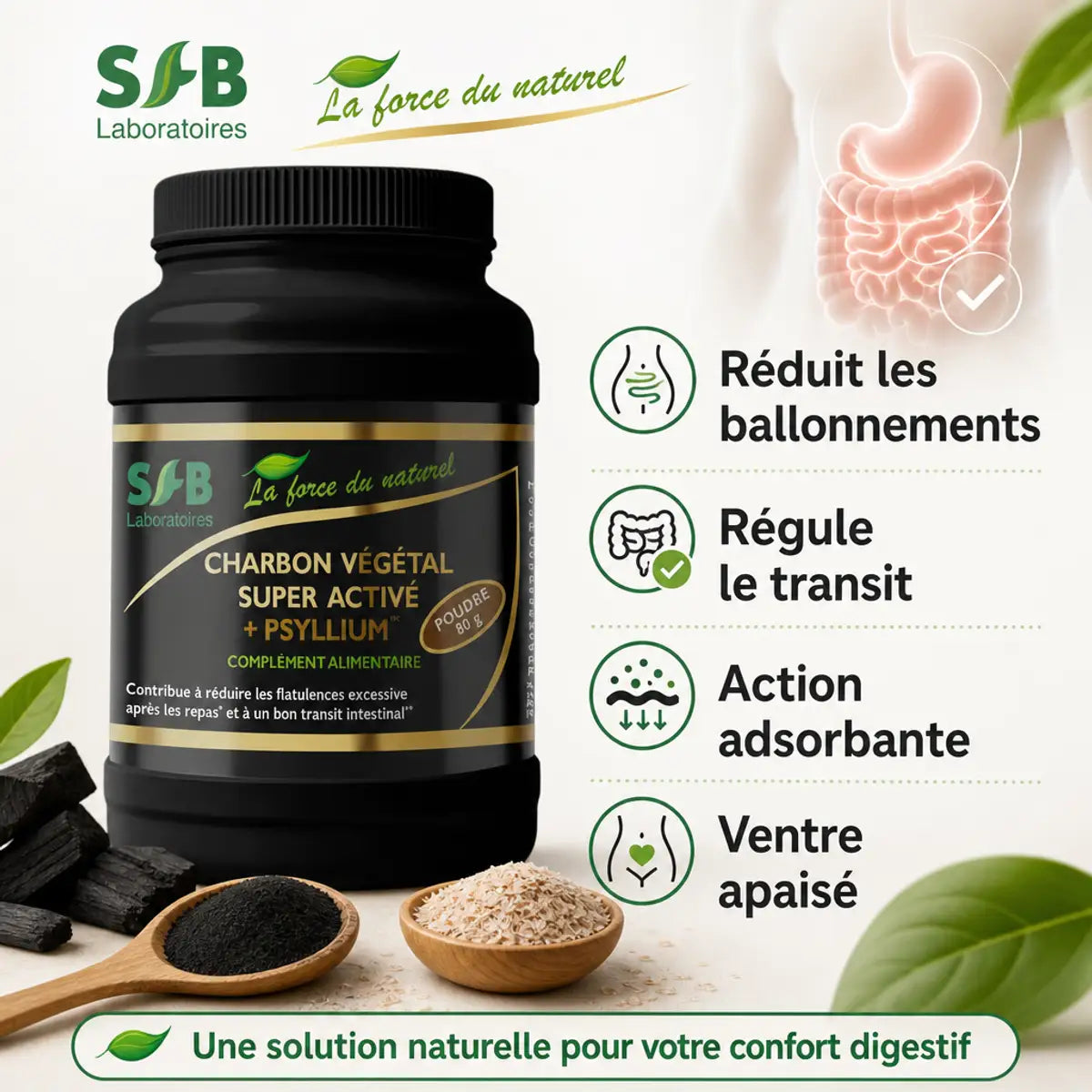 Charbon végétal activé + psyllium bio SFB pour digestion, réduit ballonnements et régule transit