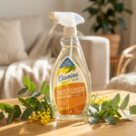 Spray Chass'Poussière Etamine du Lys sur surface bois avec branches d'eucalyptus frais