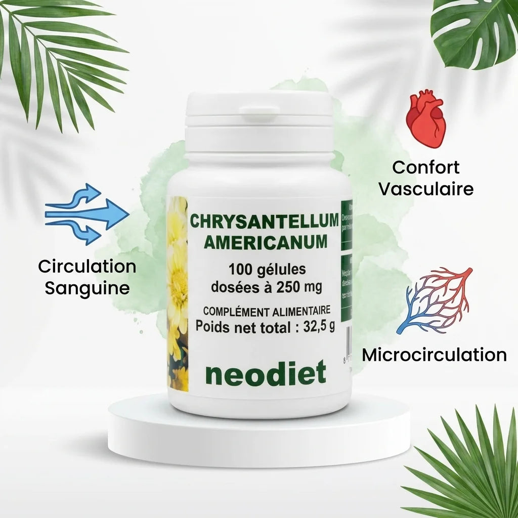 Gélules Chrysantellum Americanum 250mg circulation sanguine et confort vasculaire