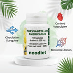 Gélules Chrysantellum Americanum 250mg circulation sanguine et confort vasculaire