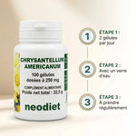 Chrysantellum Americanum gélules Vital Osmose avec dosage 2 gélules par jour