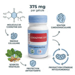 Bouteille de Coenzyme Q10 375 mg avec infographie montrant énergie cellulaire, antioxydants et santé cardiovasculaire
