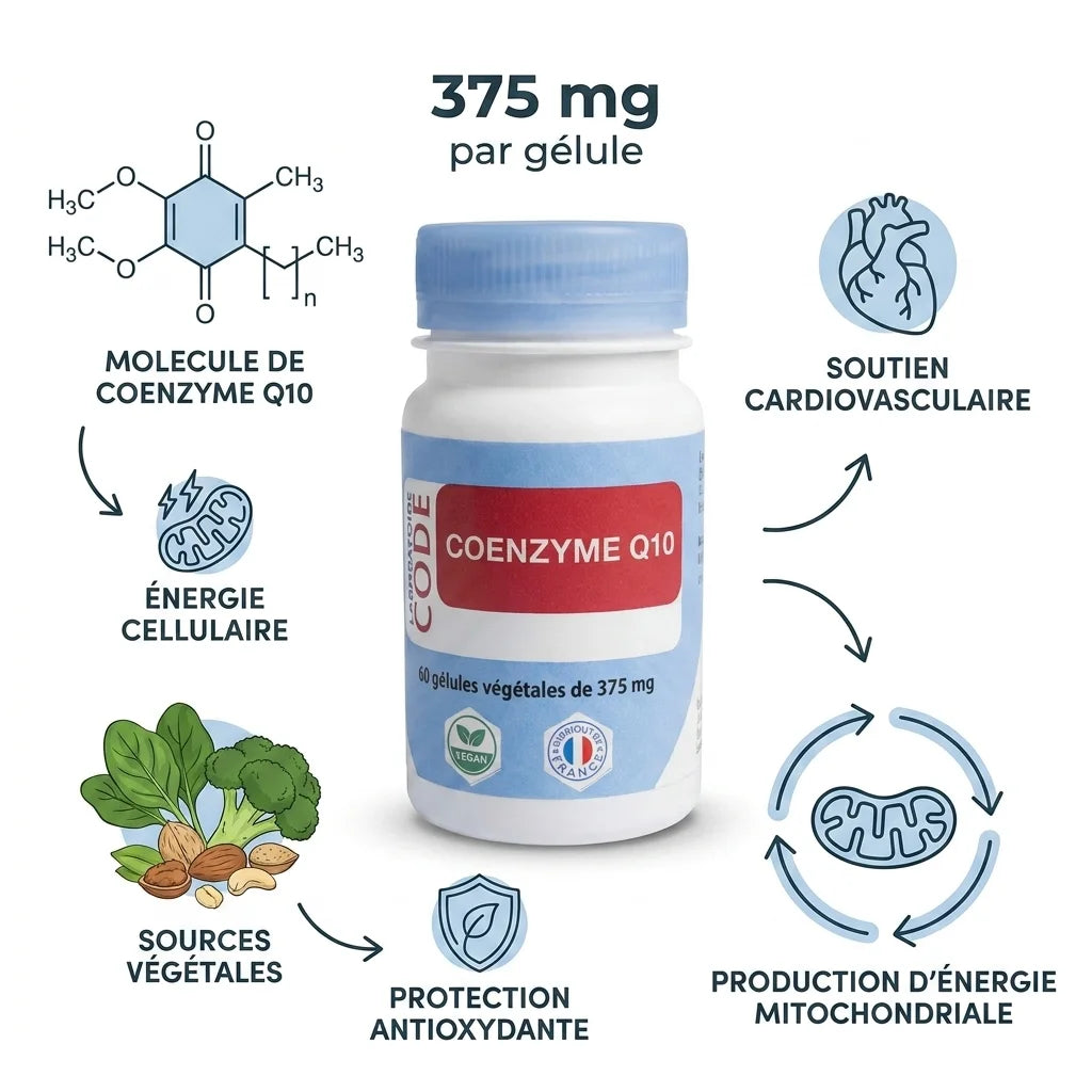 Bouteille de Coenzyme Q10 375 mg avec infographie montrant énergie cellulaire, antioxydants et santé cardiovasculaire