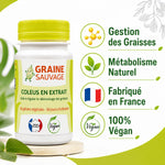 Coleus en Extrait 60 gélules avec bénéfices : gestion graisses, métabolisme, fabriqué France, végan