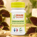 Coleus en extrait 60 gélules Graine Sauvage avec feuilles fraîches sur surface bois wellness