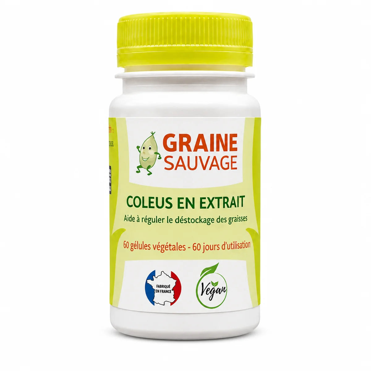 Coleus en Extrait 60 gélules Graine Sauvage bouteille avec bouchon jaune fond blanc