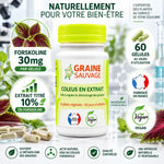 Coleus en Extrait 60 gélules Graine Sauvage - Forskoline 30mg extrait titré vegan fabriqué France