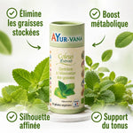 Coleus Forskohlii Forskoline AyurVana 60 gélules avec bénéfices: élimination graisses, boost métabolique, silhouette affinée