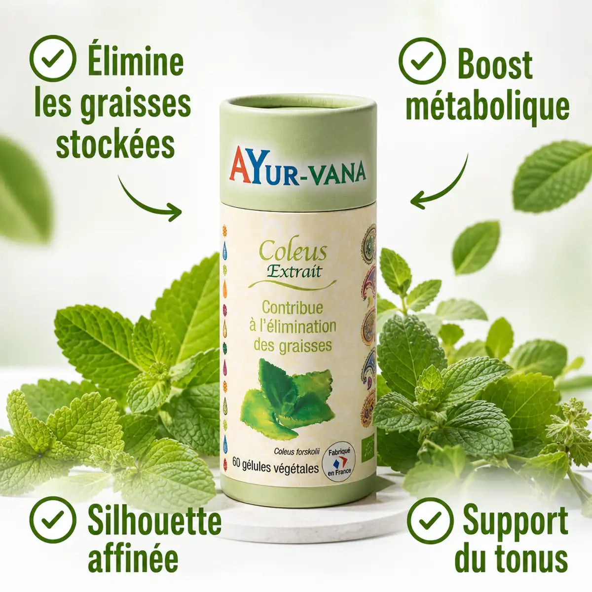 Coleus Forskohlii Forskoline AyurVana 60 gélules avec bénéfices: élimination graisses, boost métabolique, silhouette affinée