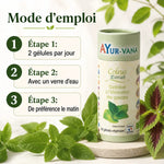Coleus Forskohlii AyurVana 60 gélules avec mode d'emploi et dosage 2 capsules par jour