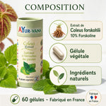 Complément Coleus Forskohlii Forskoline 60 gélules AyurVana avec composition naturelle et ingrédients