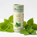 Flacon AyurVana Coleus Forskohlii Forskoline 60 gélules avec feuilles de menthe fraîche