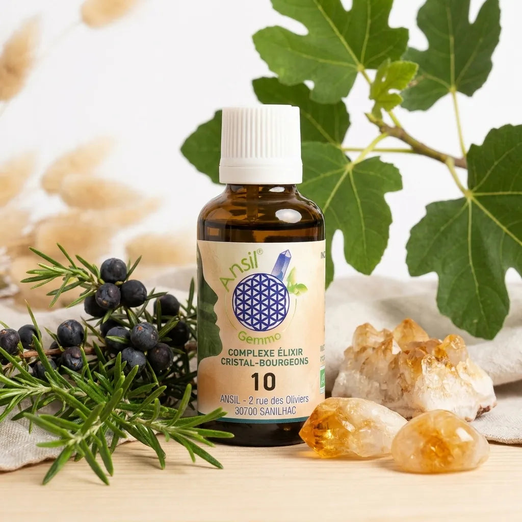 Complexe bio n°10 Citrine avec romarin, genévrier et figuier en bouteille wellness