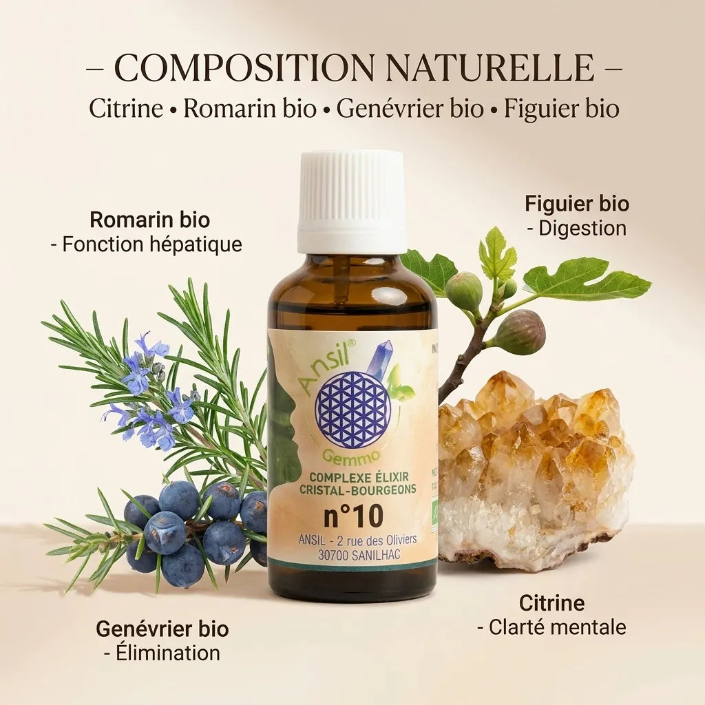 Complexe bio n°10 avec flacon ambré, Citrine, Romarin, Genévrier et Figuier bio - élixir naturel digestion et foie