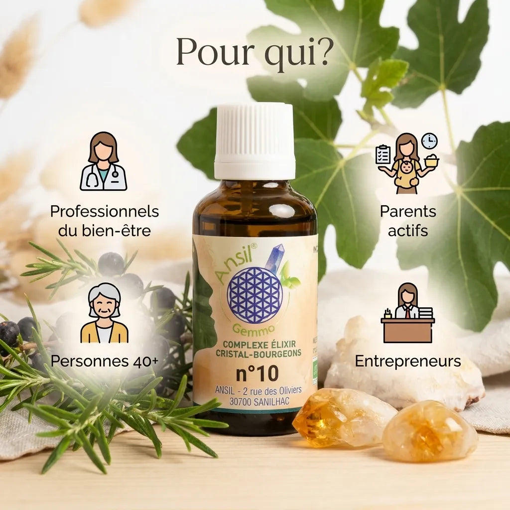Complexe bio n°10 Citrine Romarin Genévrier Figuier avec cristaux et herbes, ciblant bien-être et santé digestive