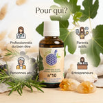 Complexe bio n°10 Citrine Romarin Genévrier Figuier avec cristaux et herbes, ciblant bien-être et santé digestive