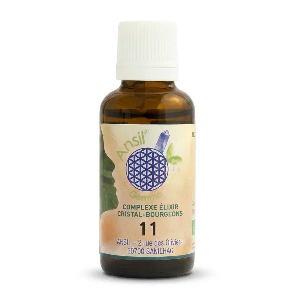 Complexe bio n°11 Grenat Chêne Marronnier d'Inde Sapin flacon verre ambré bouchon blanc