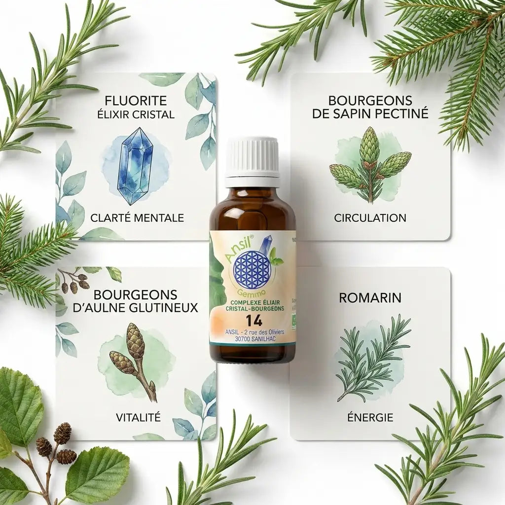 Complexe bio n°14 Fluorite avec Sapin pectiné, Aulne glutineux et Romarin - flacon et ingrédients