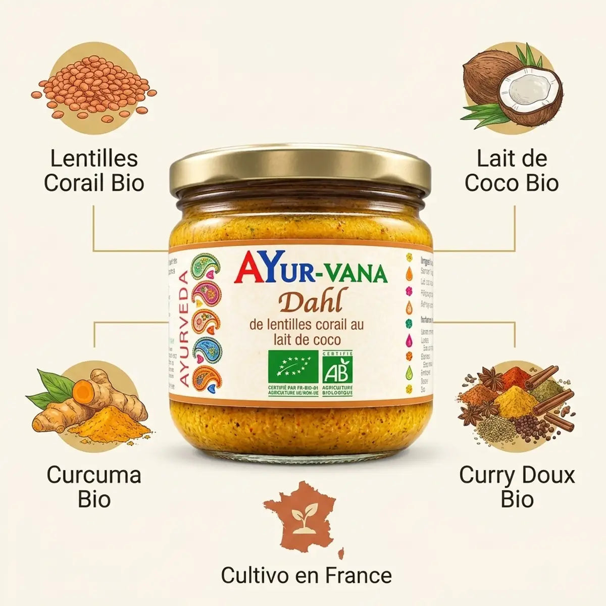 Dahl lentilles corail bio au lait de coco AYur-vana 320g avec ingrédients et origin France