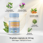 Desmomarie vegan gélules 90 capsules avec ingrédients botaniques desmodium chardon-marie curcuma fabriqué France
