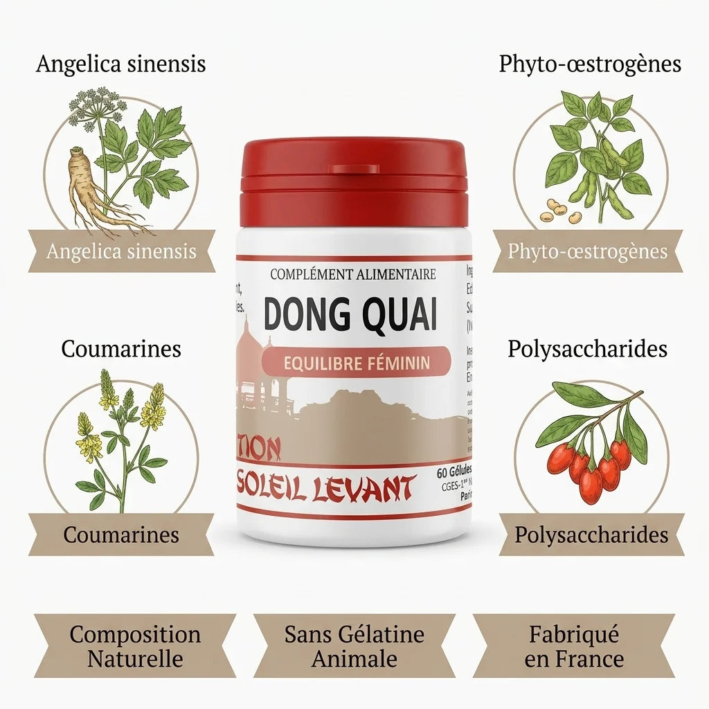 Flacon Dong Quai vegan en gélules avec composition naturelle et sans gélatine animale
