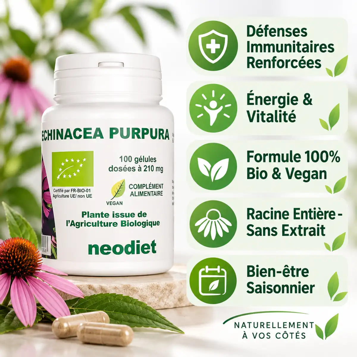 Echinacea 210 mg Bio 100 gélules avec infographie bénéfices immunité, vitalité, formule vegan