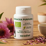 Flacon Echinacea 210 mg Bio Vital Osmose avec fleurs violettes et feuilles vertes sur surface bois naturelle