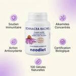 Echinacea Racine gélules Vital Osmose avec infographie bénéfices immunitaires et certification biologique
