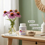 Gélules Echinacea Racine Bio avec fleurs fraîches et ingrédients actifs en présentation premium