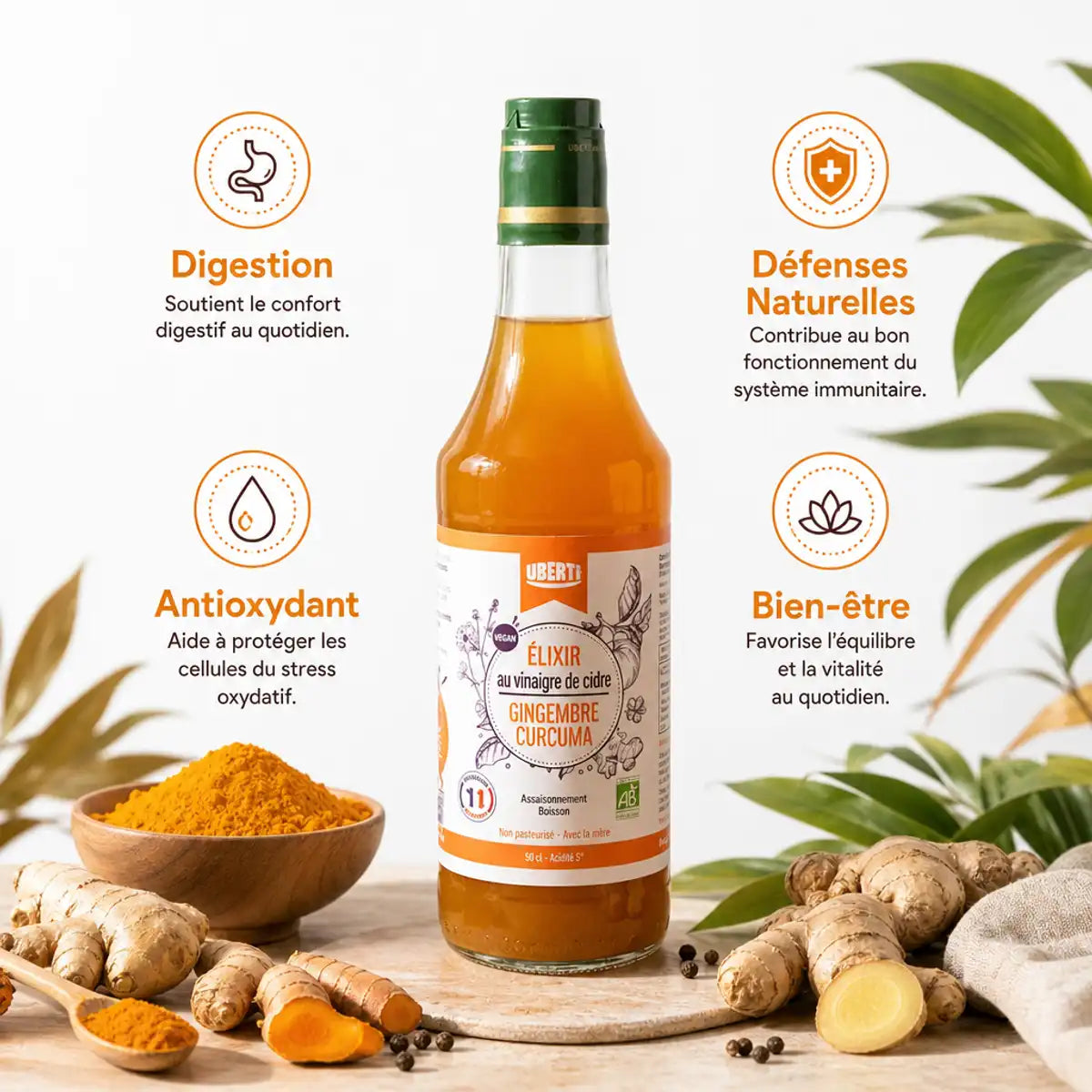 Élixir gingembre-curcuma bio avec infographie bénéfices : digestion, défenses, antioxydant