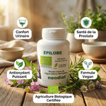 Épilobe Bio gélules Vital Osmose - Confort urinaire, santé prostate et formule vegan bio