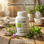 Épilobe Bio gélules Vital Osmose avec ingrédients botaniques naturels et certification biologique