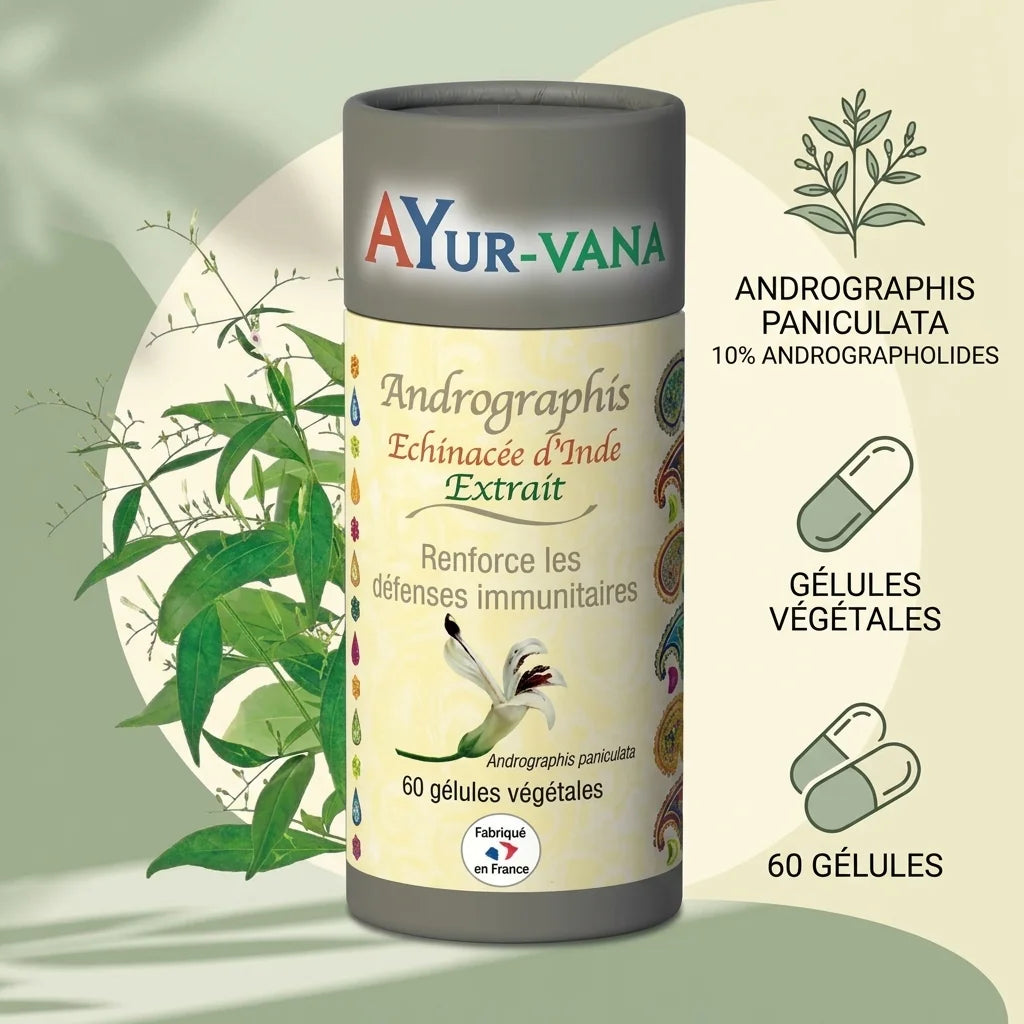 Ayurvana Andrographis extrait en gélules végétales - Complément immunité fabriqué en France