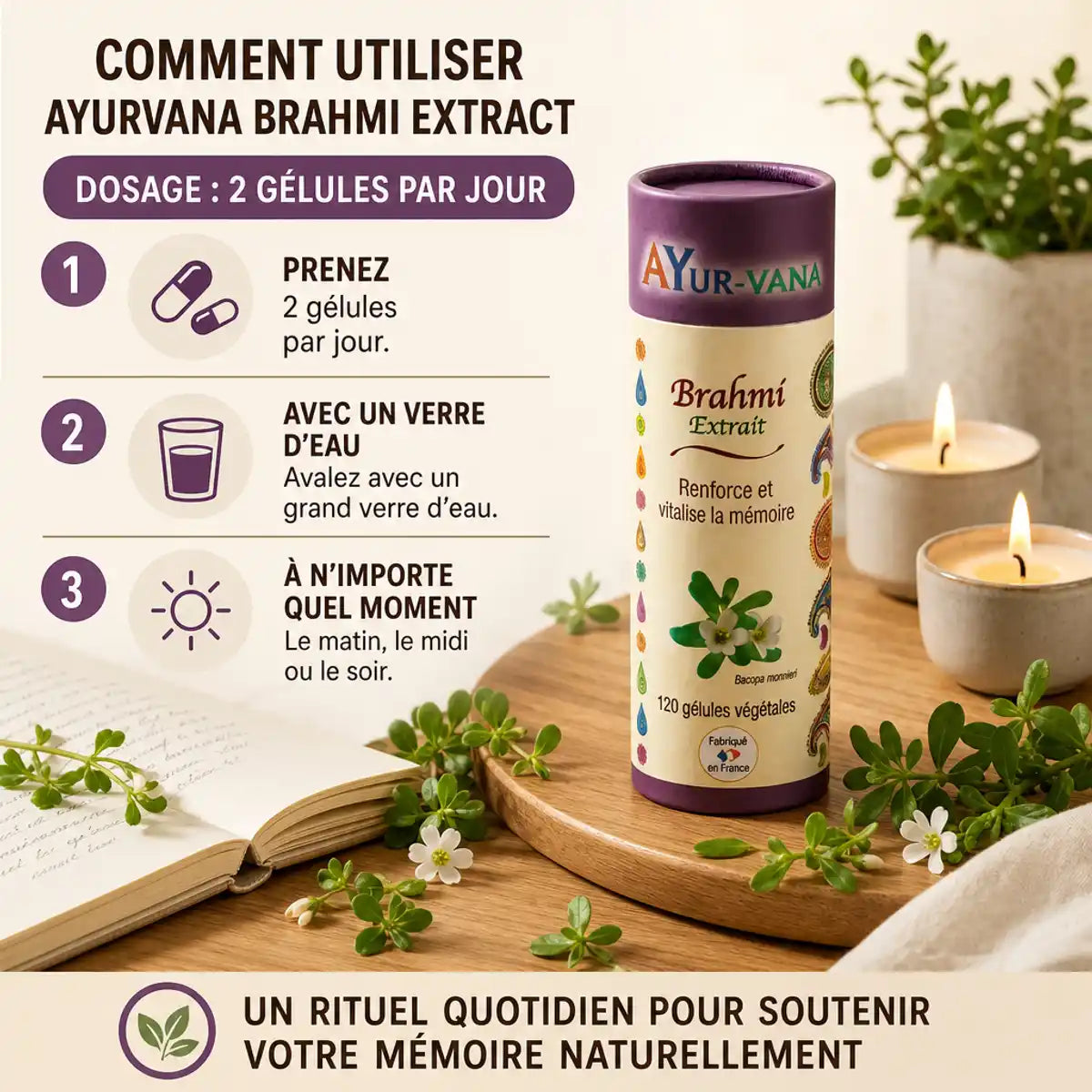 Brahmi Bacopa Monnieri Ayurvana 120 gélules avec guide dosage et plante fraîche