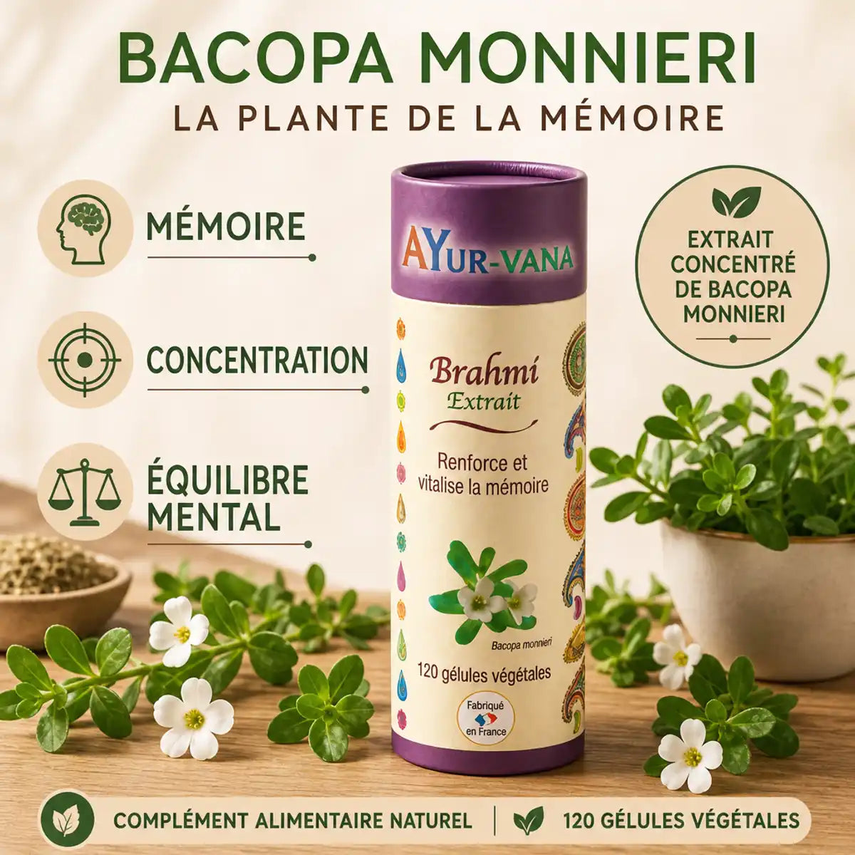 Extrait Brahmi Bacopa Monnieri 120 gélules vegan Ayurvana pour mémoire et concentration